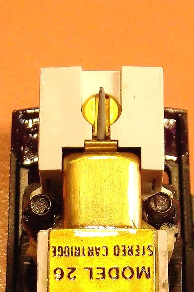 DSCF0038.JPG