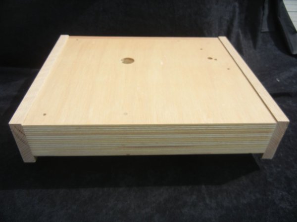 Plinth with Sides and Inlay Attached.jpg