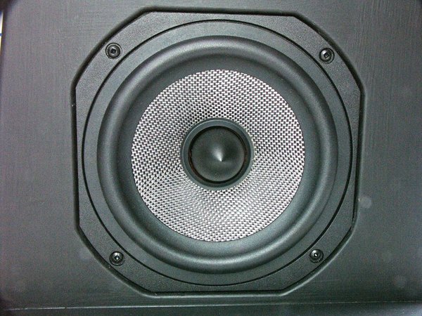 Legacy midrange driver in baffle front_small.jpg (242.26 KiB) Viewed 28387 times Legacy midrange driver in baffle front_small.jpg